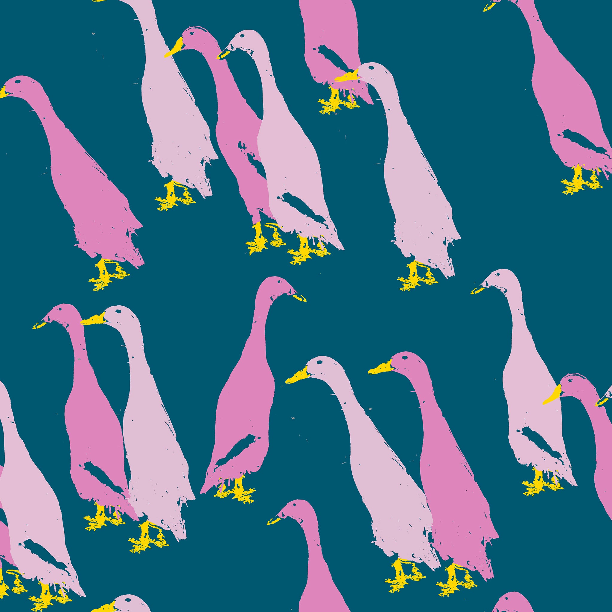 duck wallpaper