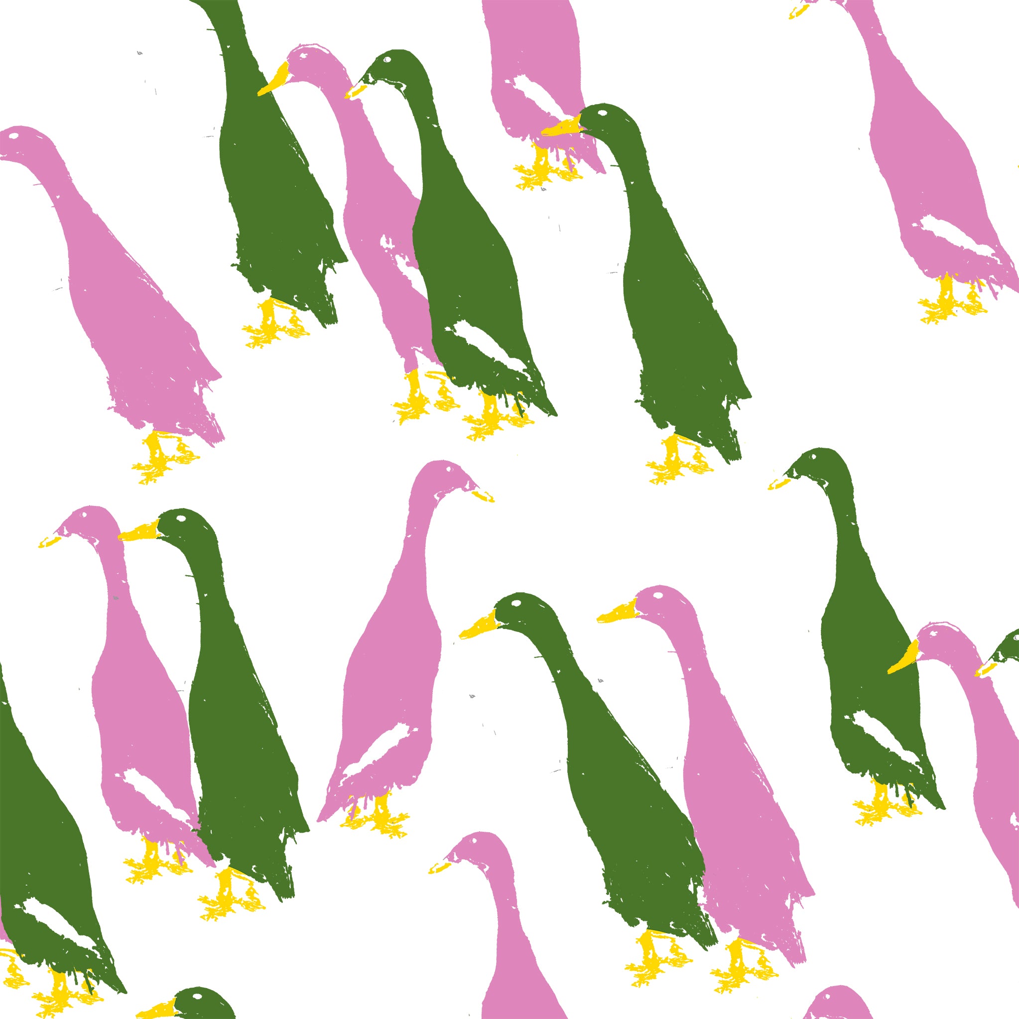 duck wallpaper